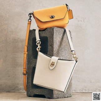 美國🇺🇸a輸入正品 Coach Addie 盒子包 白色