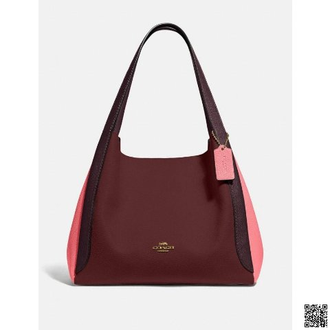 美國🇺🇸a輸入正品 Coach Hadley Hobo 單肩包