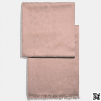 美國🇺🇸a輸入正品 Coach logo 圍巾