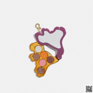 美國🇺🇸a輸入正品 Coach 小恐龍眼影盤