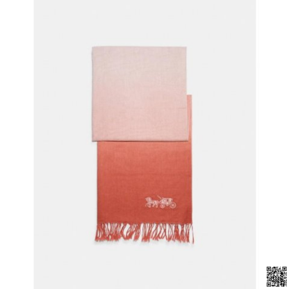 美國🇺🇸a輸入正品 Coach 漸變圍巾