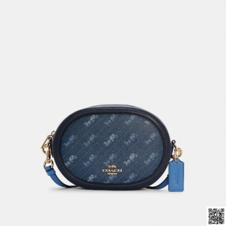 美國🇺🇸a輸入正品 Coach 老花相機包