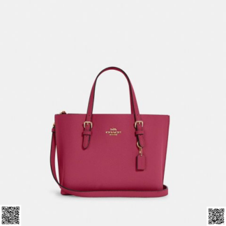 美國🇺🇸輸入正品 Coach Mollie Tote 25