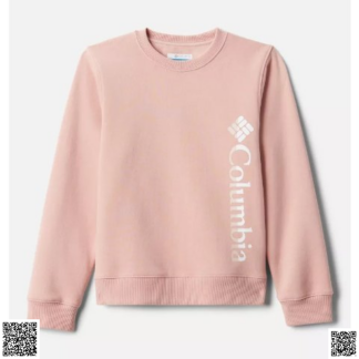 美國🇺🇸輸入正品 Columbia 兒童衛衣 多色可選