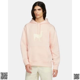 美國🇺🇸輸入正品 Nike SB Fleece Skate 衛衣