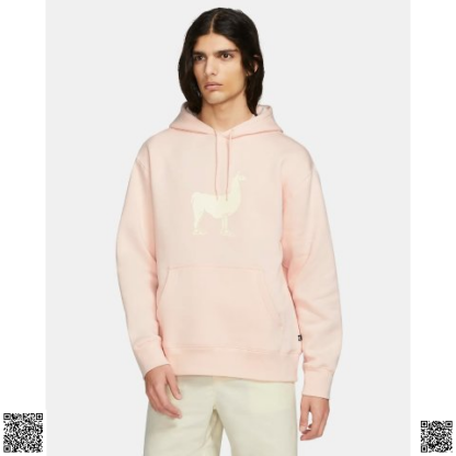美國🇺🇸輸入正品 Nike SB Fleece Skate 衛衣