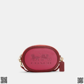 美國代購正品 COACH 相機包