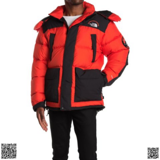 美國代購正品 The North Face Head of Sky 派剋羽絨服