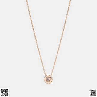 美國代購正品 COACH Open Circle項鏈