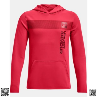 美國代購正品 Under Armour 男孩抓絨帽衫