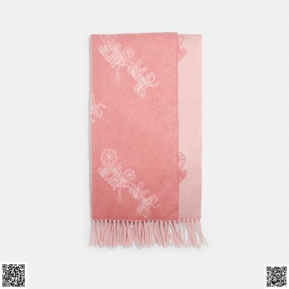 美國代購正品 Coach 圍巾