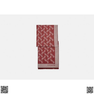 美國代購正品 Coach 圍巾