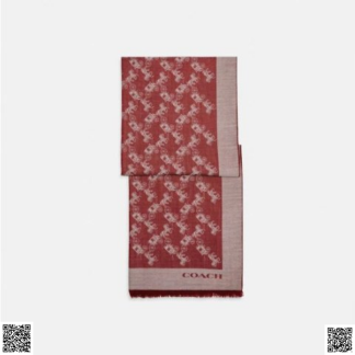 美國代購正品 圍巾