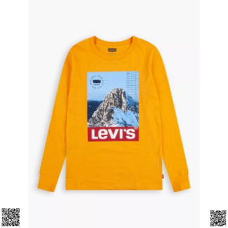 美國代購正品 Levi s 男童T恤