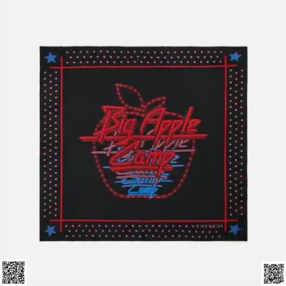 美國代購正品 Coach 絲巾