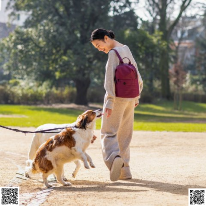 美國代購正品 Kipling Dayana 雙肩包
