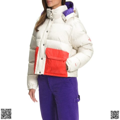 美國代購正品 The North Face Sierra羽絨服 600 Fill