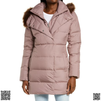 美國代購正品 The North Face 防水羽絨服 550 Fill Power