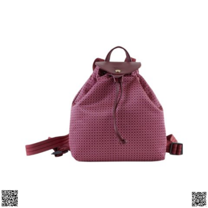 美國代購正品 Longchamp 雙肩包