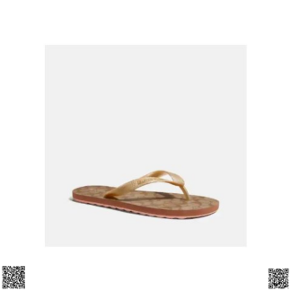 美國代購正品 老花人字拖