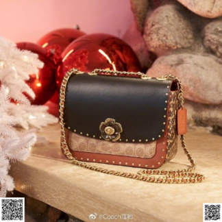 美國代購正品 Coach Madison 山茶花扣老花鏈條包