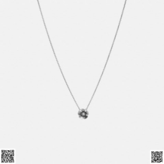 美國代購正品 Coach Tea Rose 項鏈