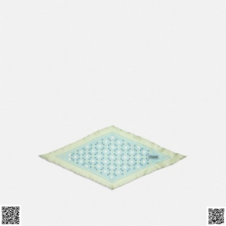 美國代購正品 Coach 絲巾