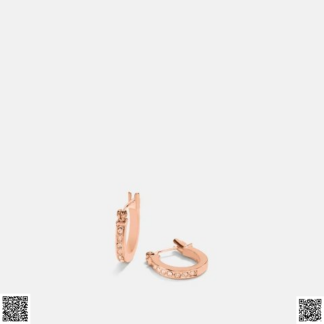 美國代購正品 Coach 耳環