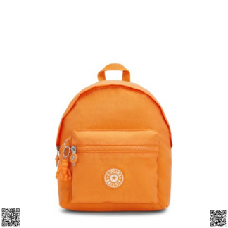 美國代購正品 Kipling 雙肩包