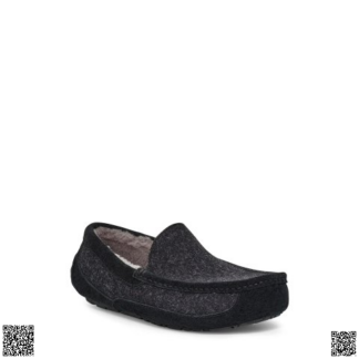 美國代購正品 UGG “Ascot”羊毛拖鞋