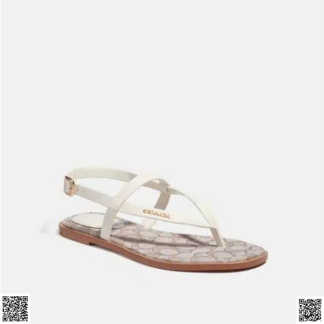 美國代購正品 Coach 涼鞋
