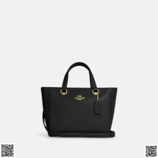 美國代購正品 Coach Alice 手提包