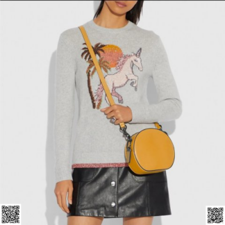 美國代購正品 Coach Canteen 斜挎包