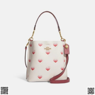 美國代購正品 Coach Mollie 水桶包