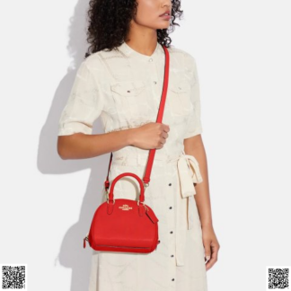 美國代購正品 Coach Sydney 挎包