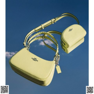 美國代購正品 Coach Teri 單肩包