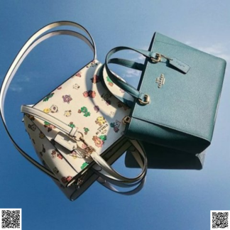 美國代購正品 Alice 手提袋