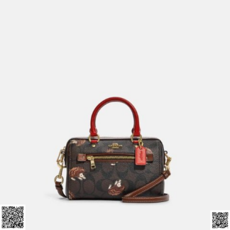 美國代購正品 Coach Mini Rowan 小刺蝟印花斜挎包