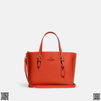 美國代購正品 Coach Mollie Tote包