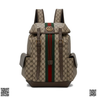 美國代購正品 Gucci 老花雙肩包