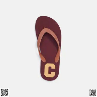 美國代購正品 人字拖