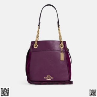 美國代購正品 Coach Cammie Chain 水桶包