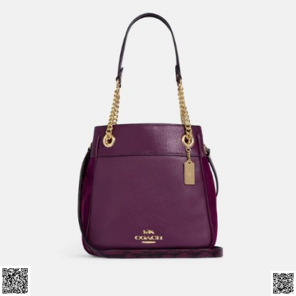 美國代購正品 Coach Cammie Chain 水桶包