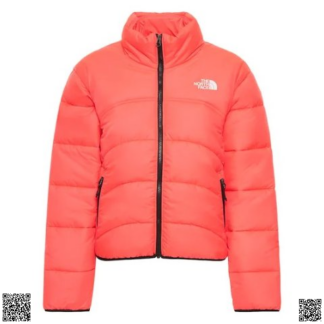 美國代購正品 The North Face ELEMENTS 2000 棉服