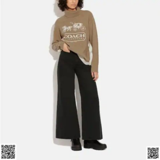 美國代購正品 Coach 高領羊毛羊絨毛衣