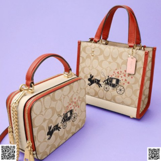 美國代購正品 Lunar New Year Box 盒子包