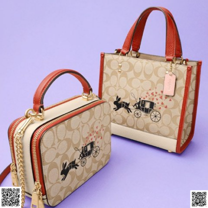 美國代購正品 Lunar New Year Box 盒子包