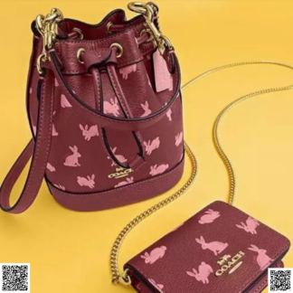 美國代購正品 Lunar New Year Mini Dempsey水桶包