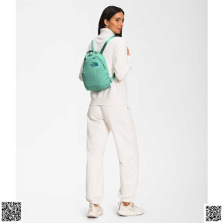 美國代購正品 The North Face Never Stop Mini 背包