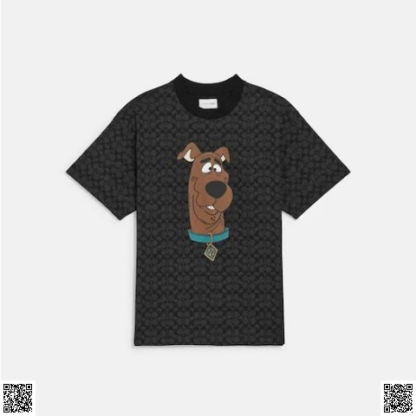 美國代購正品 Coach T恤